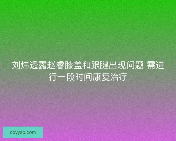刘炜透露赵睿膝盖和跟腱出现问题 需进行一段时间康复治疗